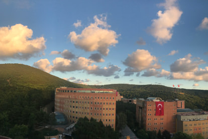 Yeditepe Üniversitesi 