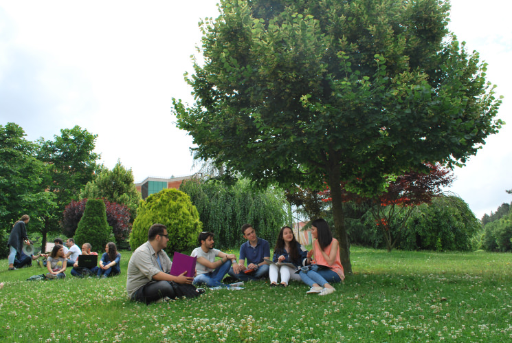 Yeditepe Üniversitesi 