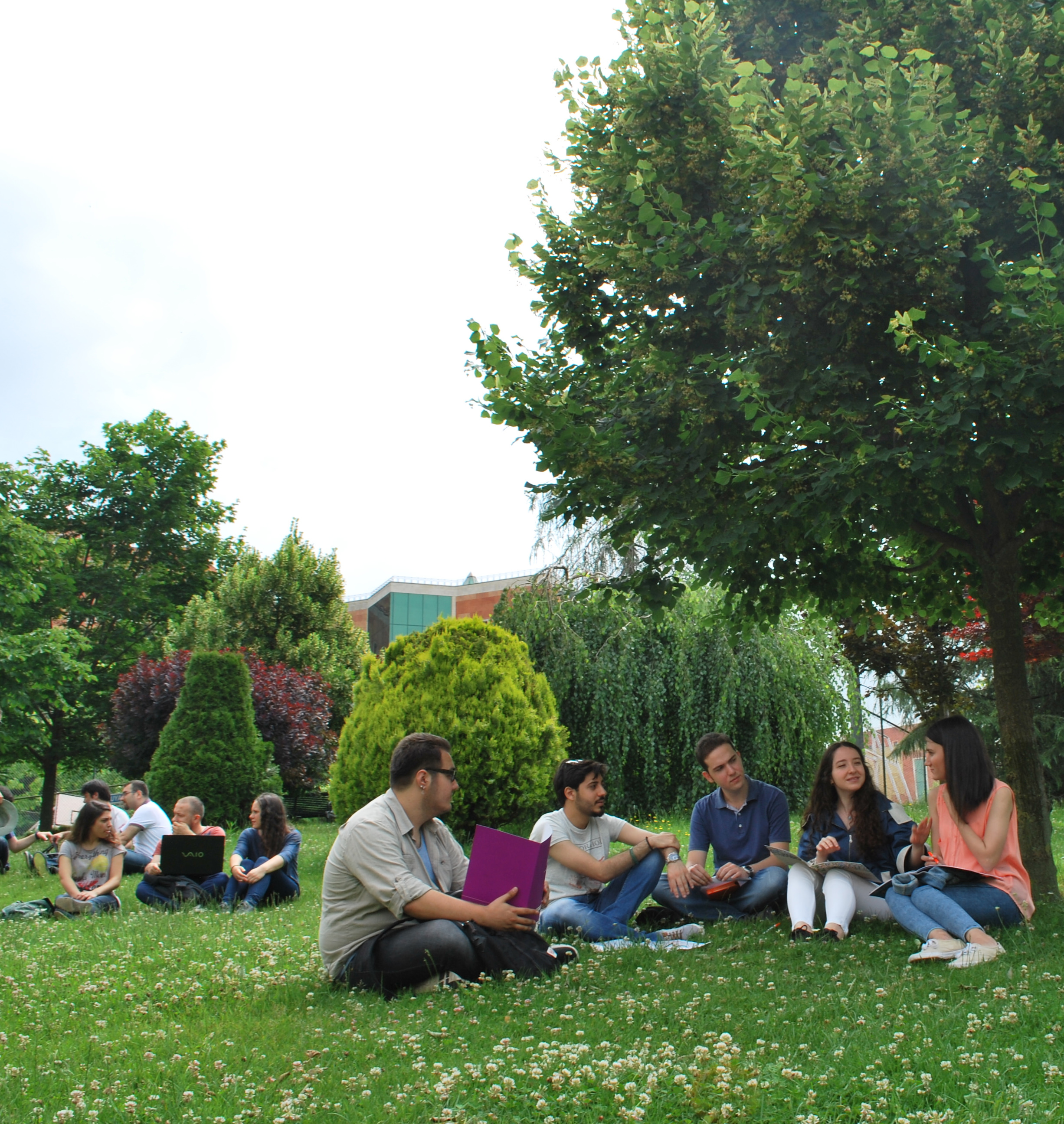 Tarım Ticareti ve İşletmeciliği Bölümü Nedir?