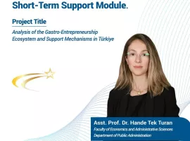 hande hoca tübitak 1002-a